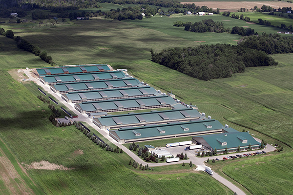 Convoyeur Shaoxing Machine Inc.