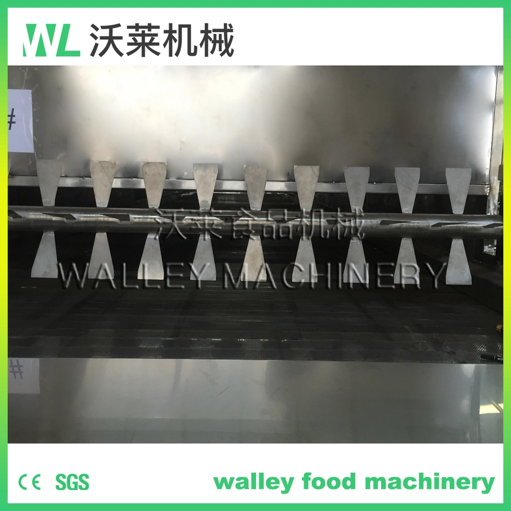 China Mesh Belt Conveyor Dryer Vegetable Carrot Drying Machine